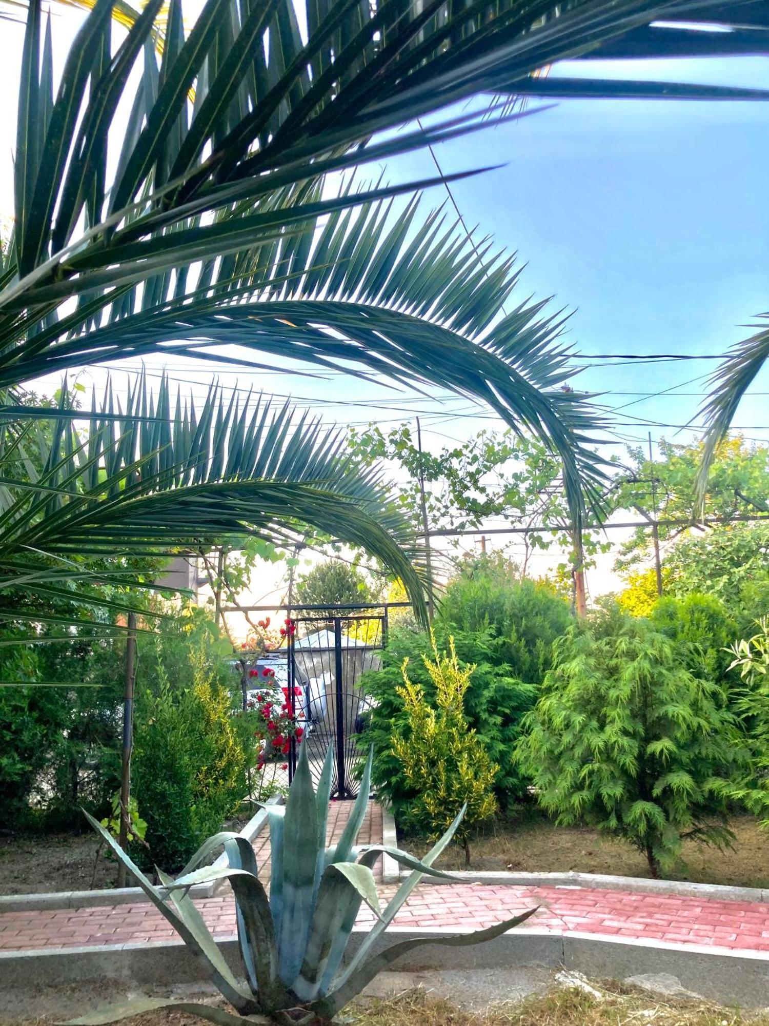 Lukas'S House Hotel Kobuleti Exterior photo